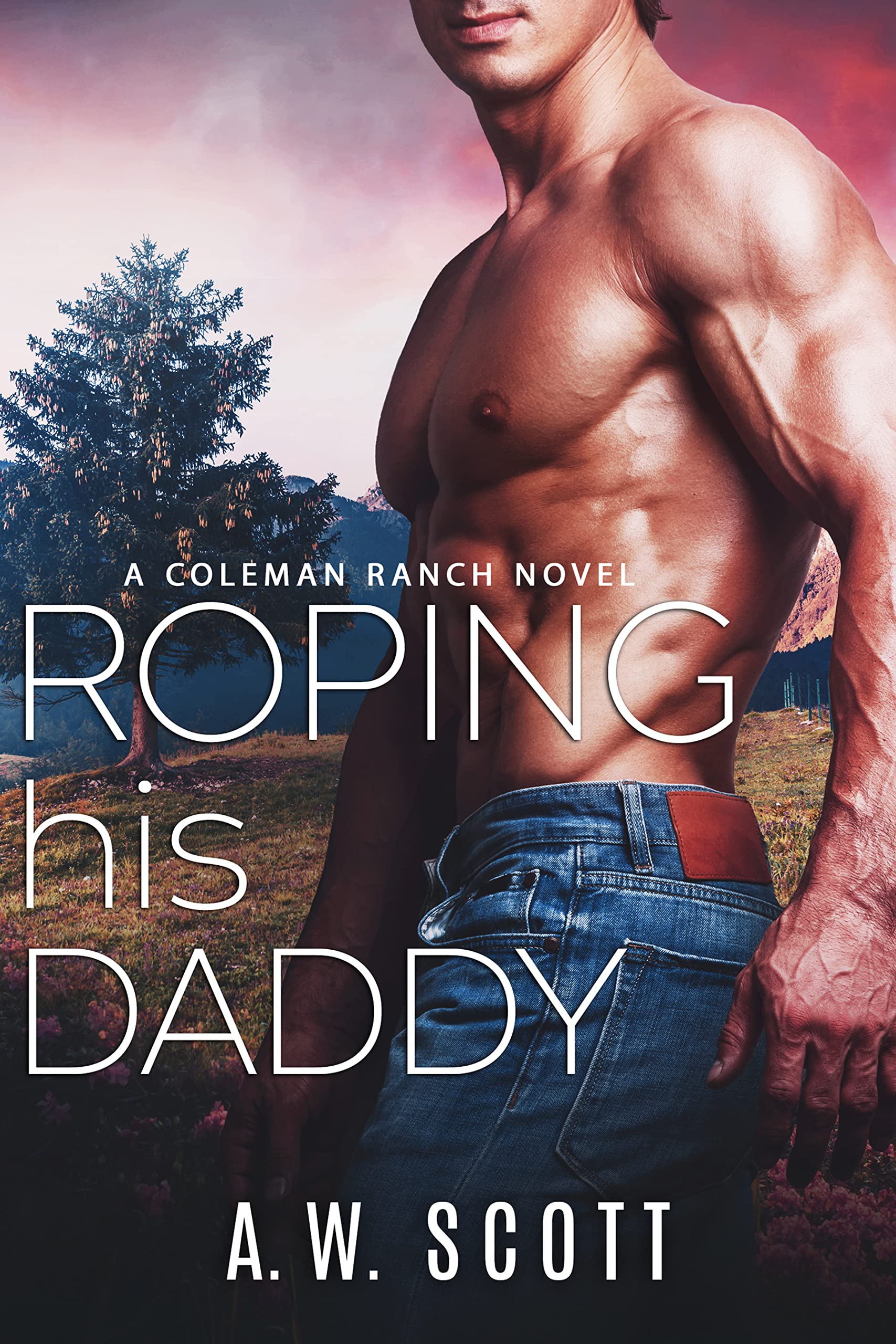 Coleman Ranch book cover 2