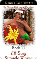 Fairnight book cover 1