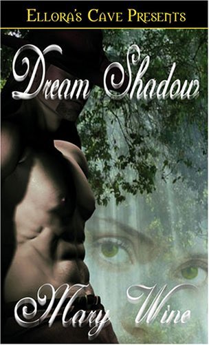 Dream book cover 1