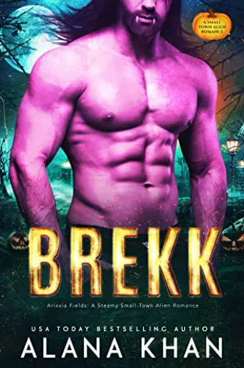 Brekk book cover