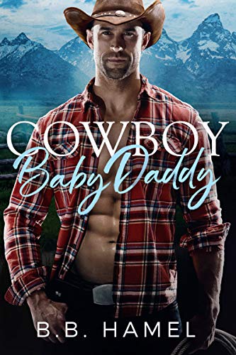 Cowboy Baby Daddy book cover