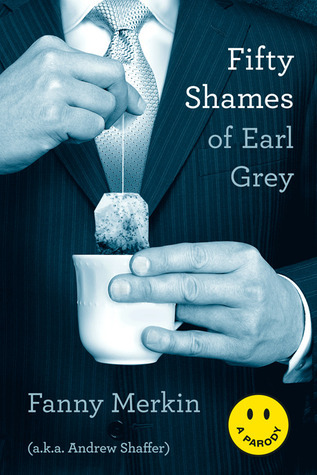 Fifty Shames book cover 1