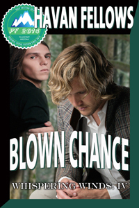 Blown Chance book cover