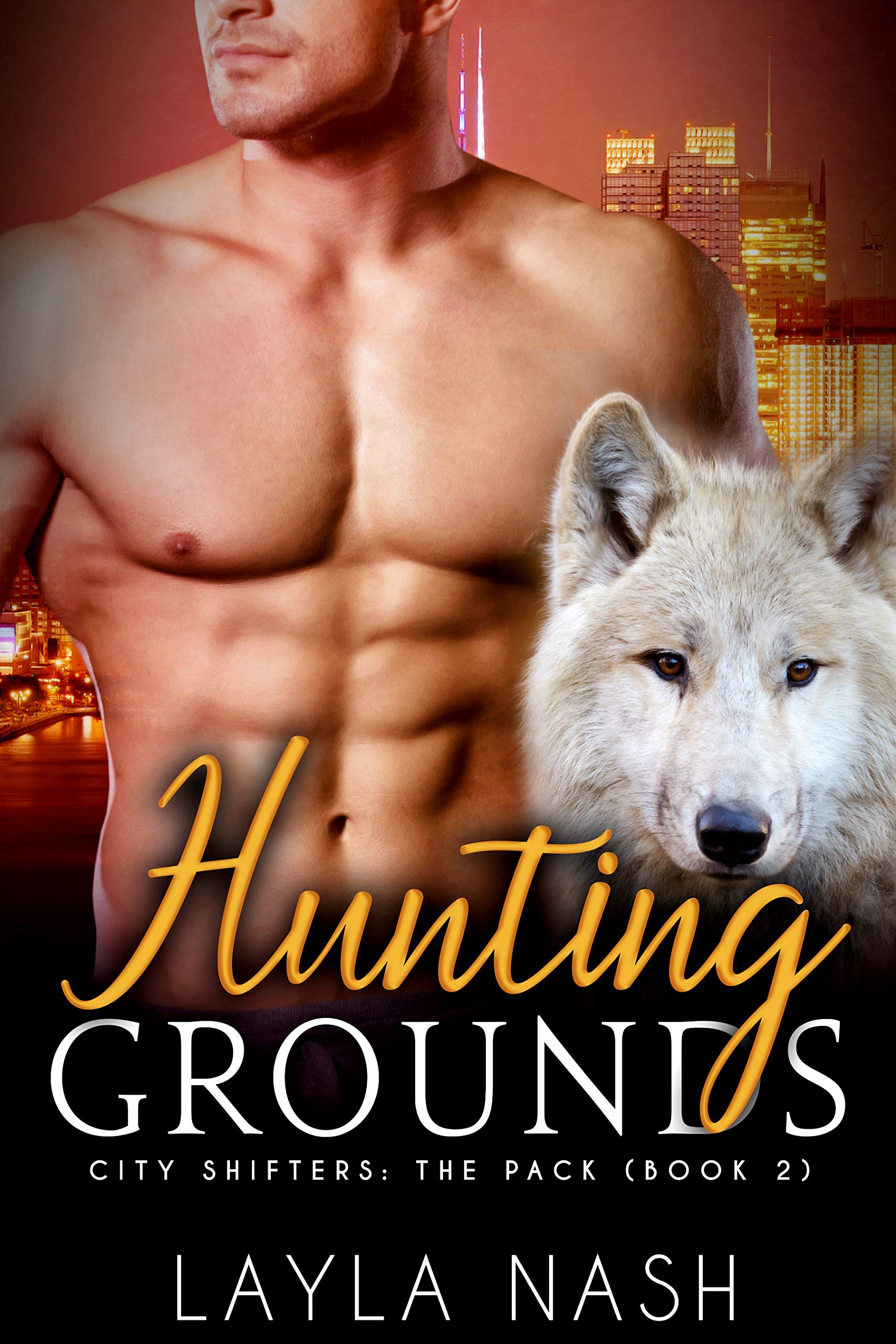City Shifters: The Pack book cover 2