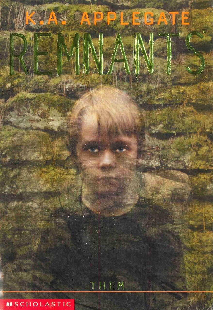 Remnants book cover 3