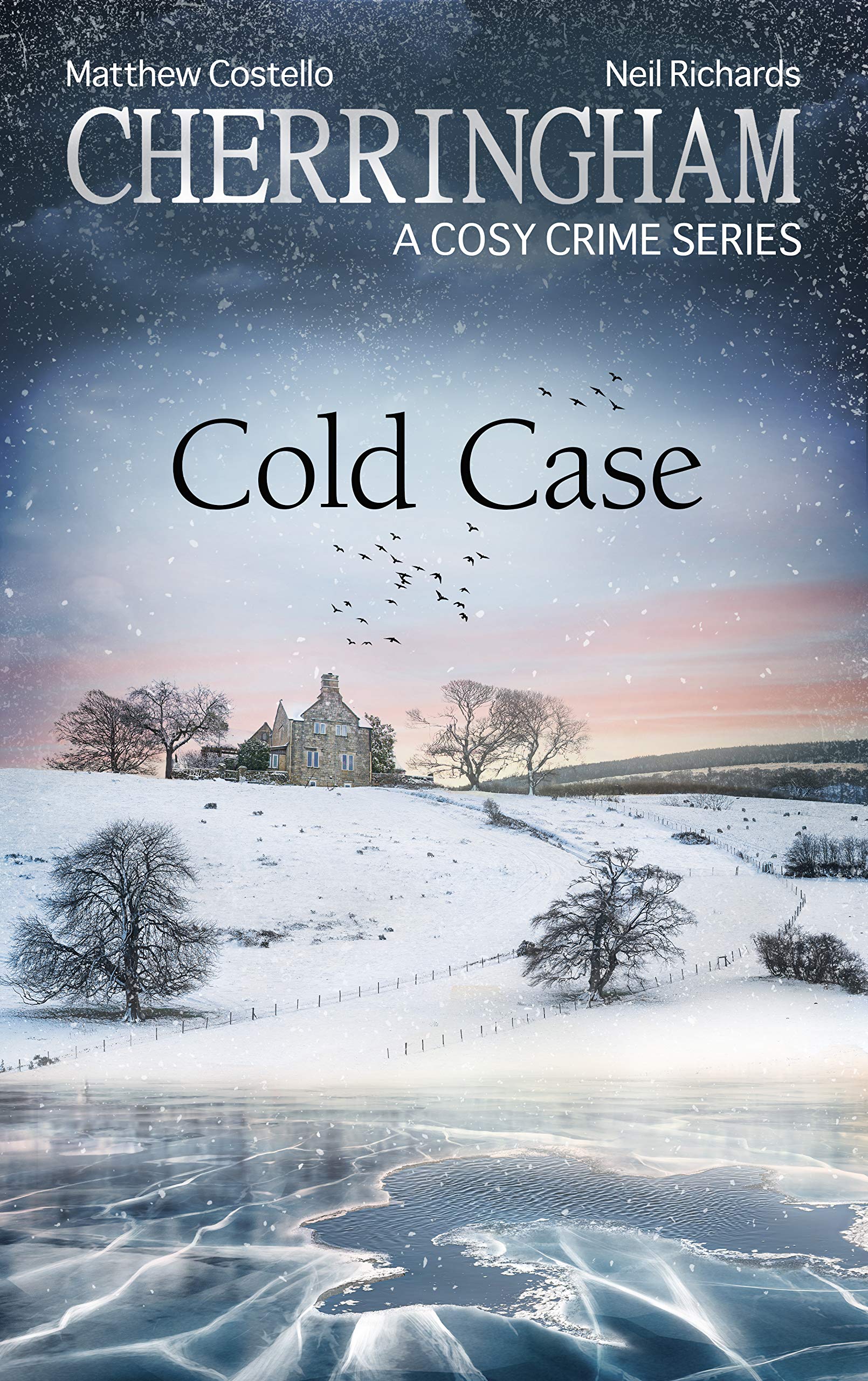 Cold Case book cover