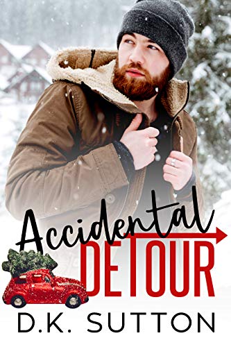 Accidental Detour book cover