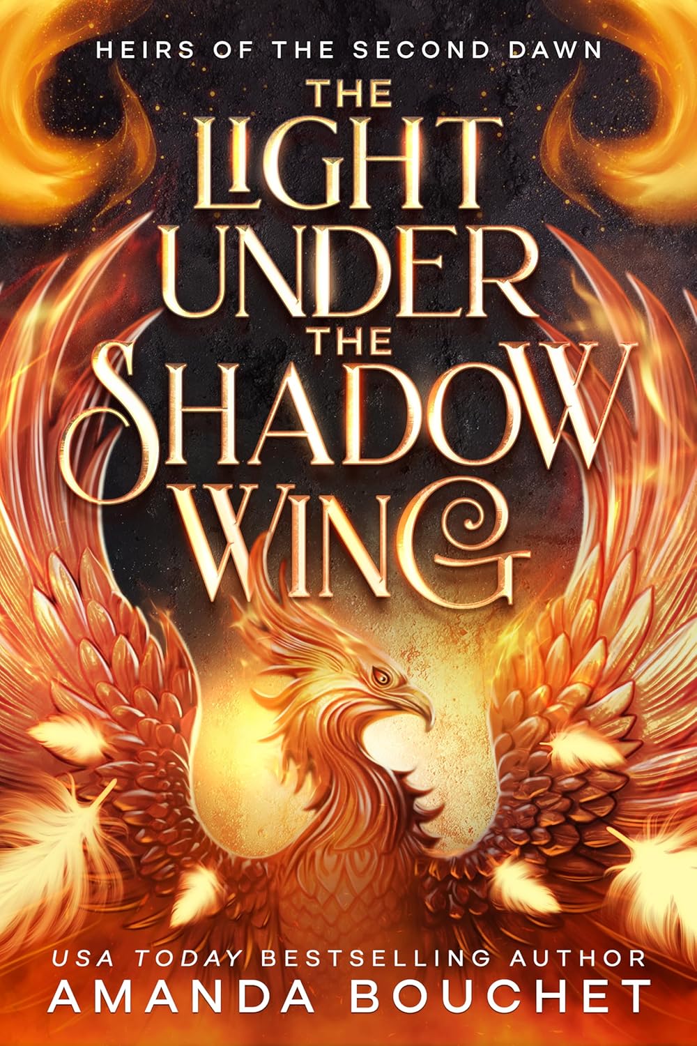 The Light Under the Shadow Wing book cover