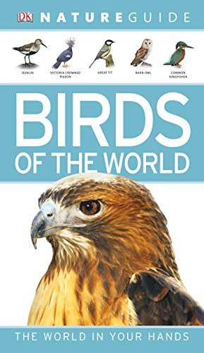 Nature Guide book cover