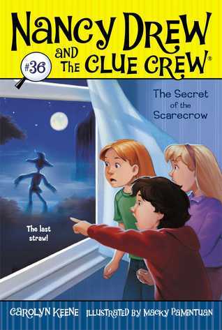 The Secret of the Scarecrow book cover