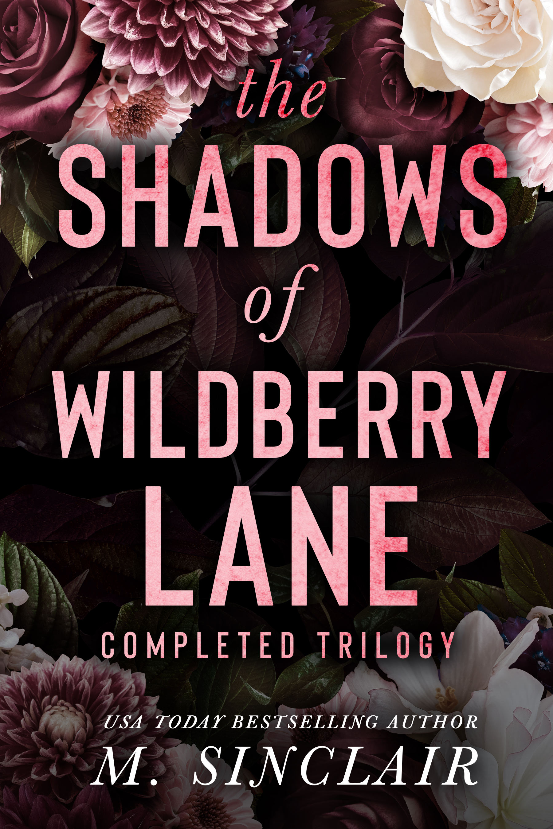 The Shadows of Wildberry Lane book cover