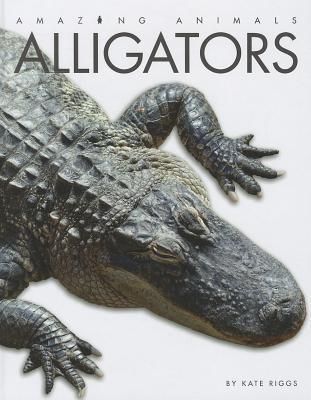 Alligators book cover