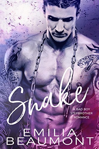 Forbidden Desires book cover 1