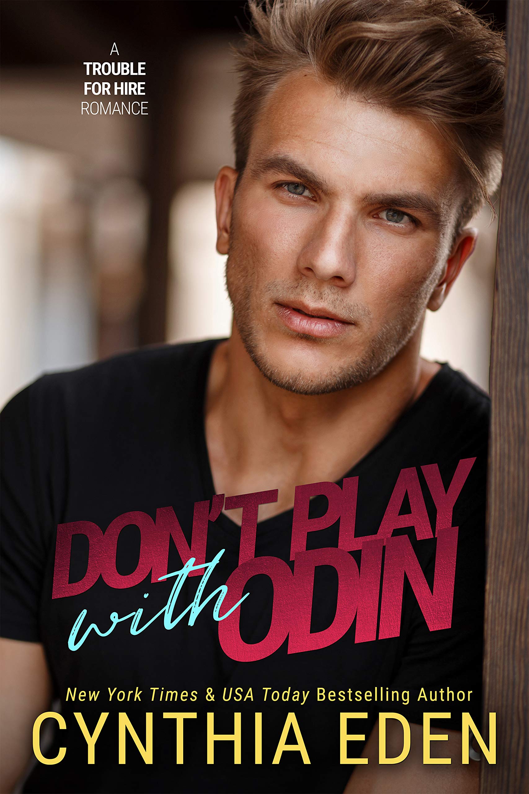 Trouble for Hire book cover 2