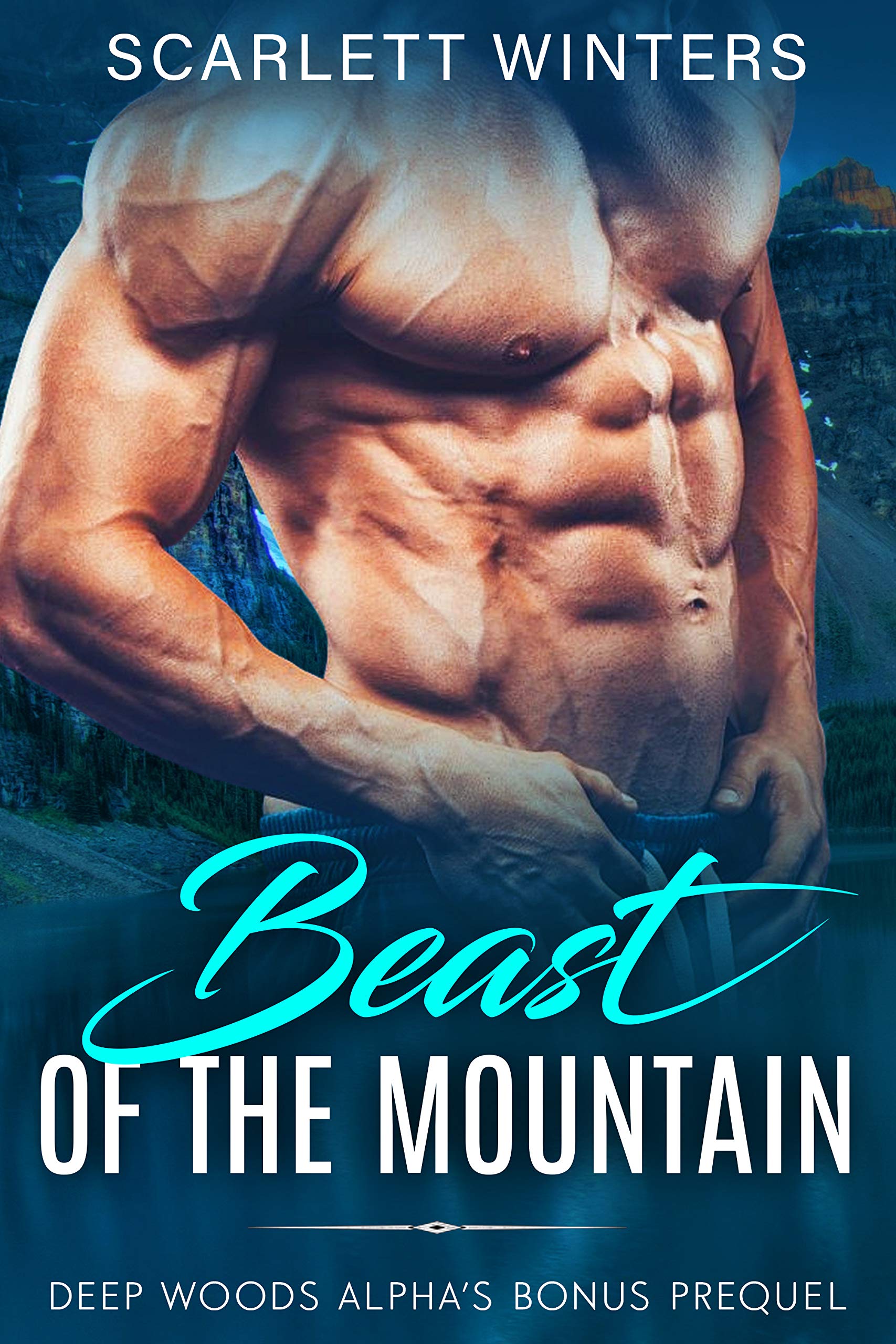 Beast of the Mountain book cover