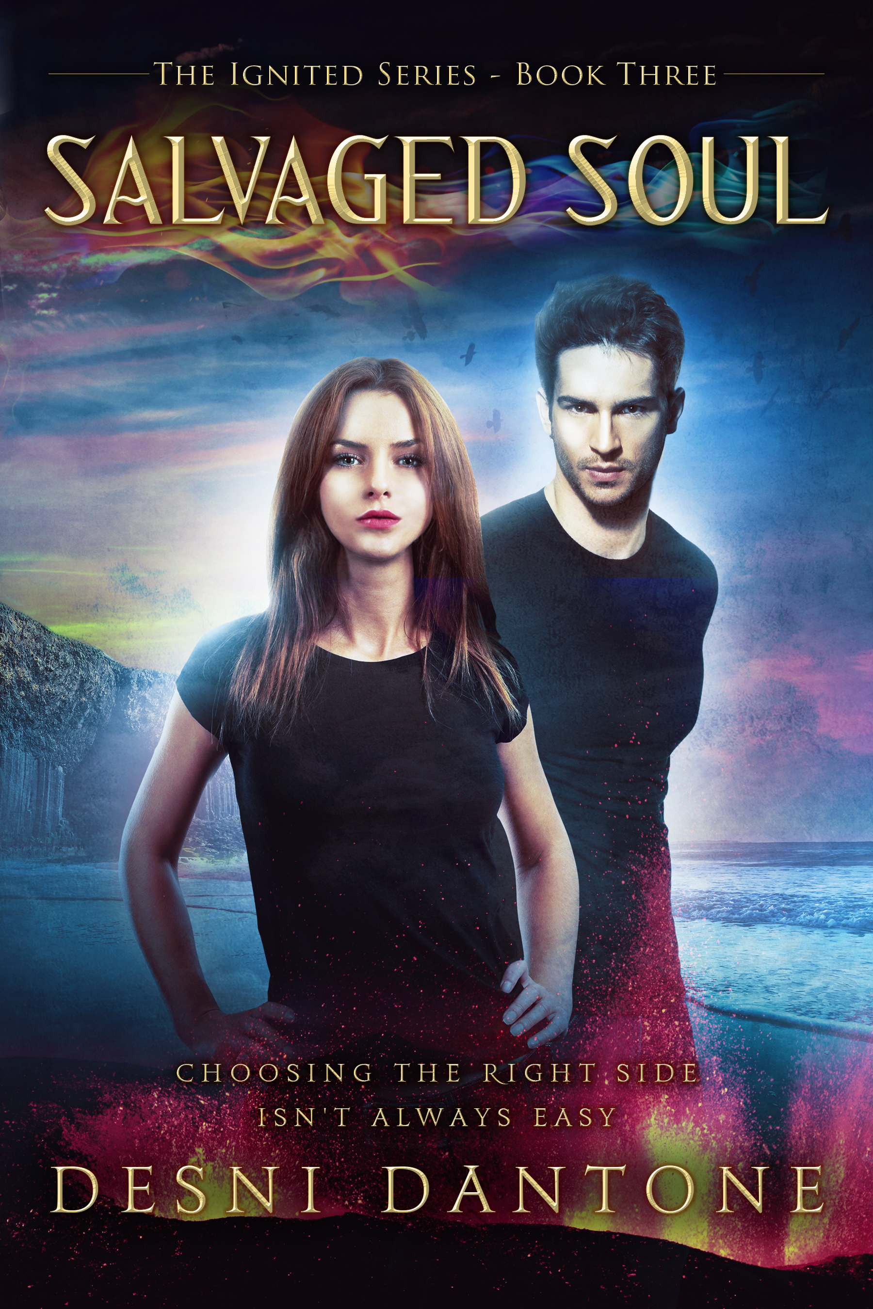 Ignited book cover 3