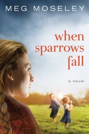 When Sparrows Fall book cover