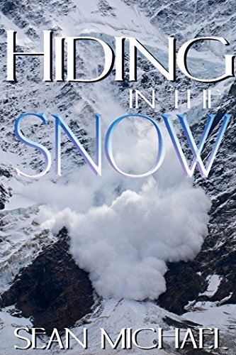 Hiding in the Snow book cover