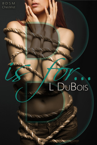 BDSM Checklist book cover 2
