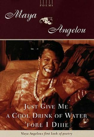 Just Give Me a Cool Drink of Water 'fore I Diiie book cover