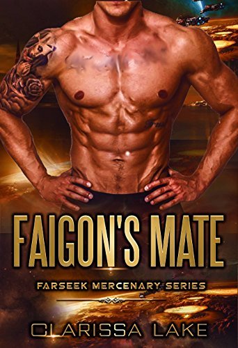 Faigon's Mate book cover