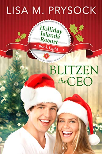 Blitzen the CEO book cover