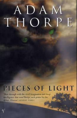 Pieces of Light book cover
