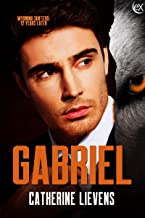 Gabriel book cover