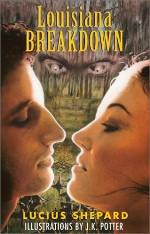 Louisiana Breakdown book cover