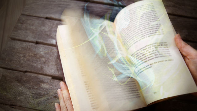 Ghost Stories book cover