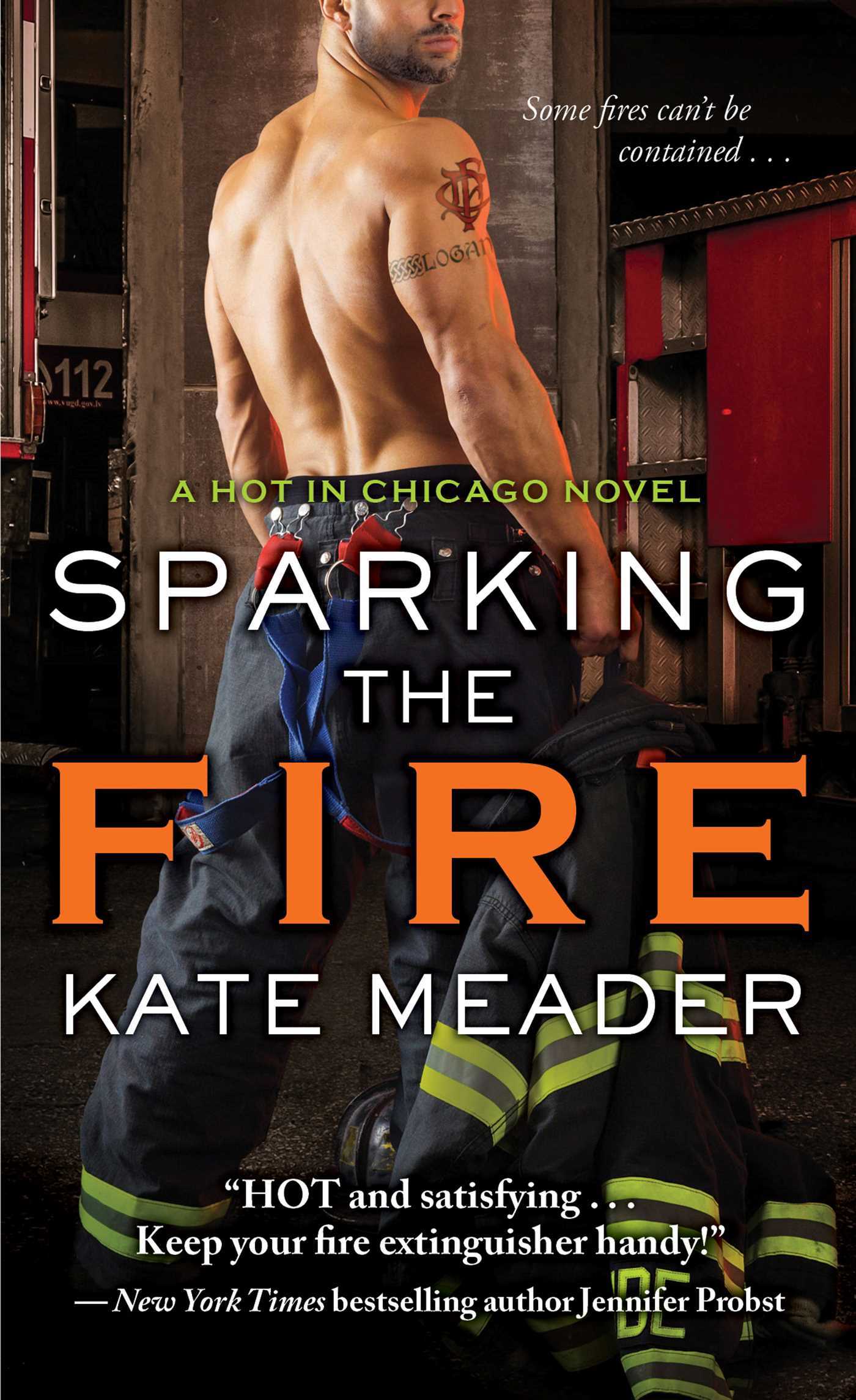 Hot in Chicago book cover 3