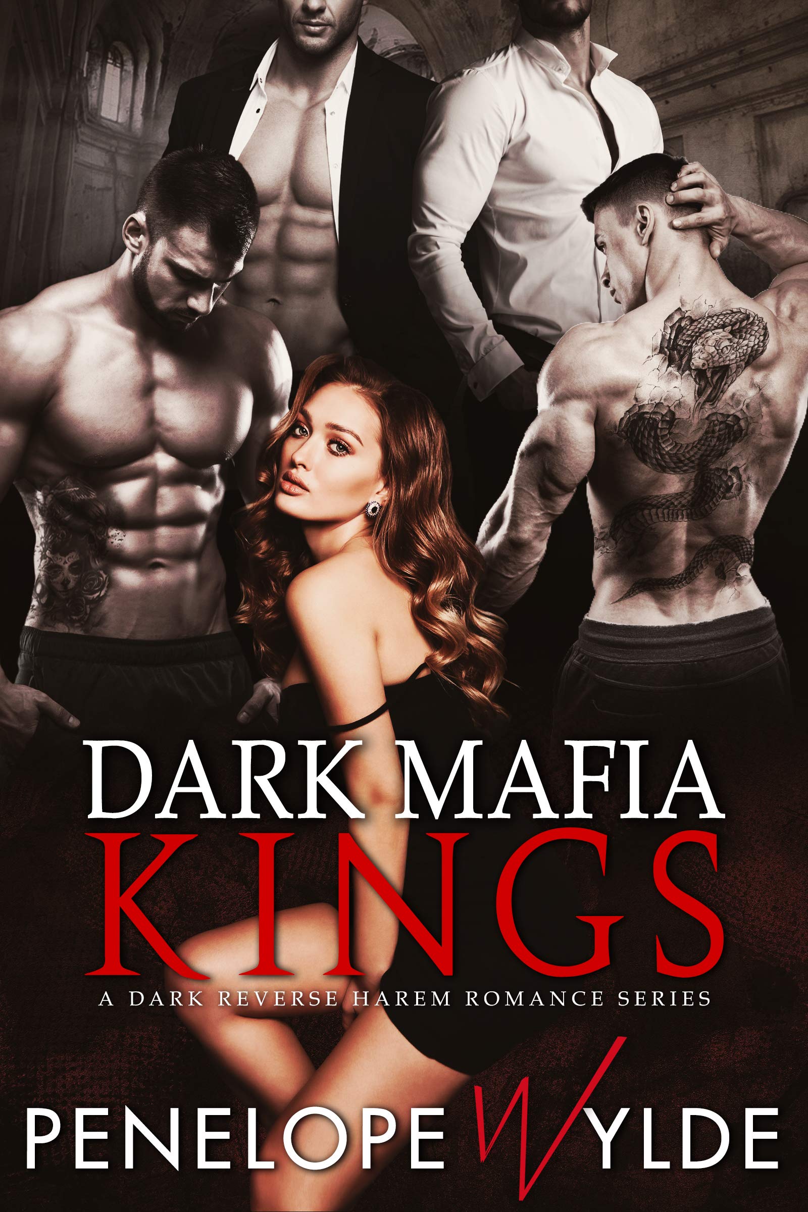 Dark Mafia book cover 1