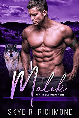 Whitfell Brothers book cover 1