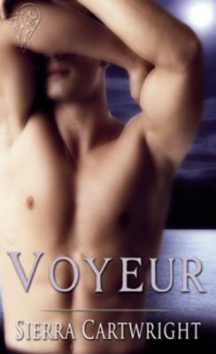Voyeur book cover