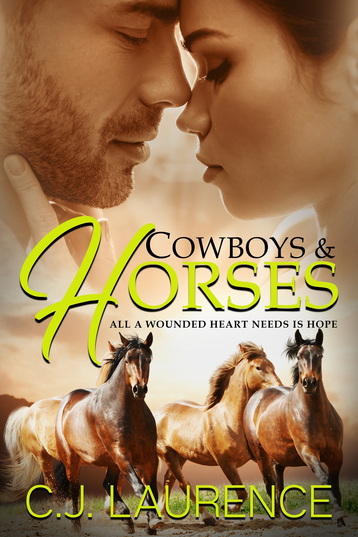 Cowboys & Horses book cover