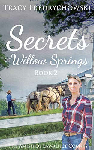 Secrets of Willow Springs 2 book cover