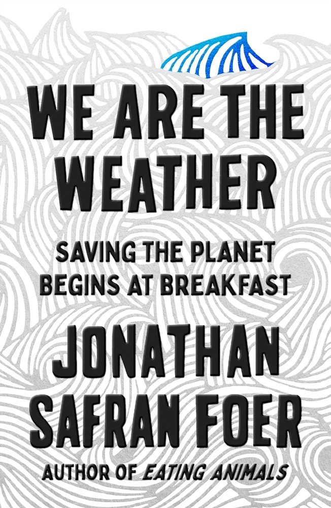 We Are the Weather book cover