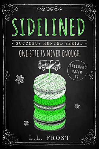 Succubus Hunted book cover 1