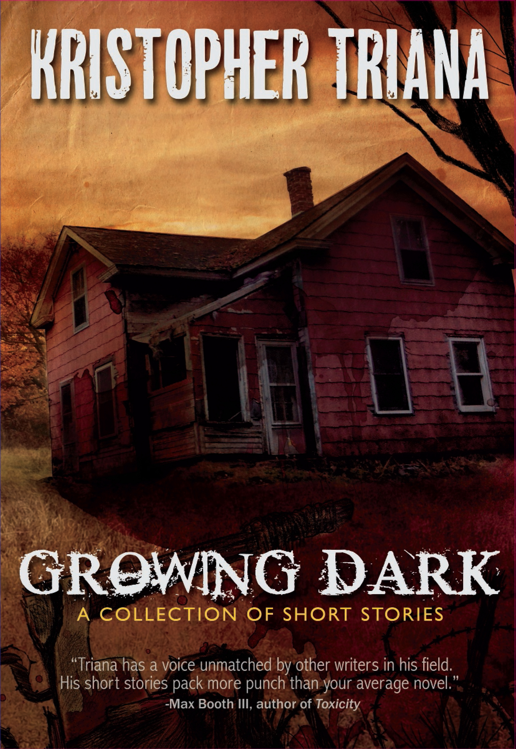Growing Dark book cover
