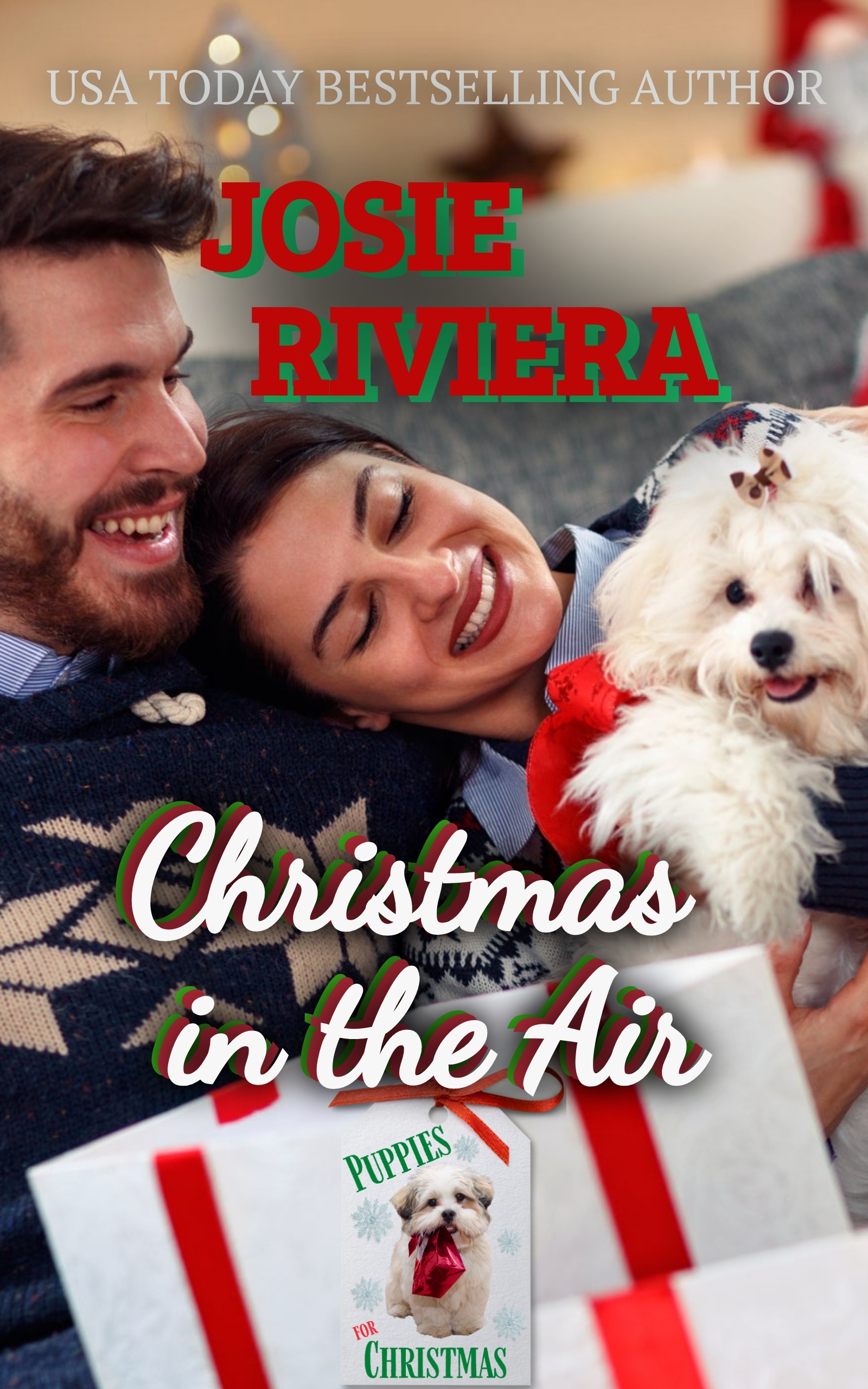 Christmas in the Air book cover
