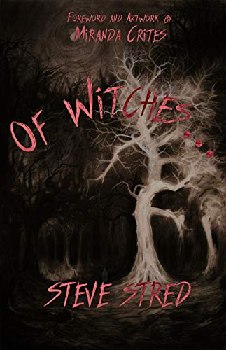 Of Witches… book cover