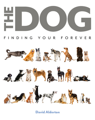 The Dog book cover