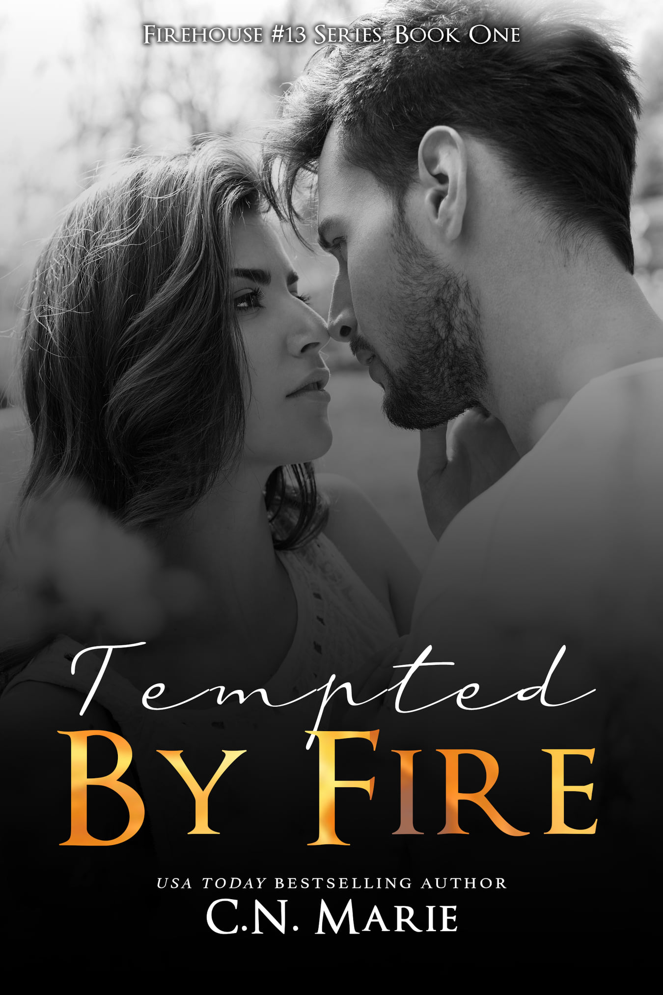 Firehouse 13 book cover 1