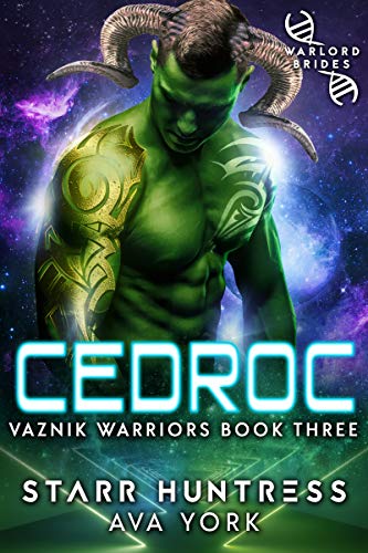 Vaznik Warriors book cover 3