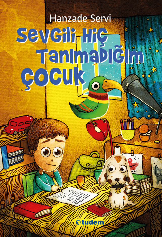 Sevgili Hiç Tanımadığım Çocuk book cover 1