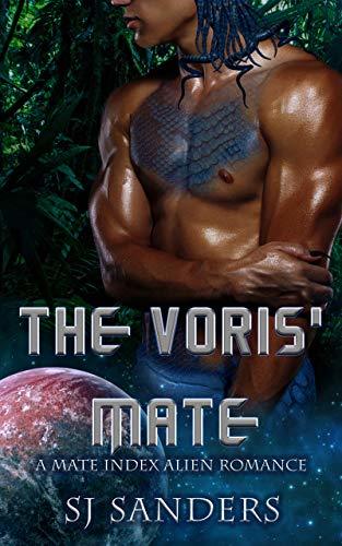 The Mate Index book cover 3