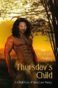 Satyr book cover 2