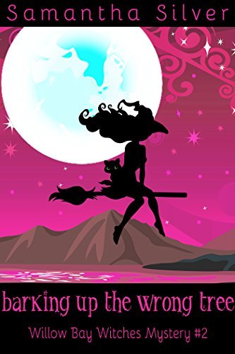 Willow Bay Witches book cover 2
