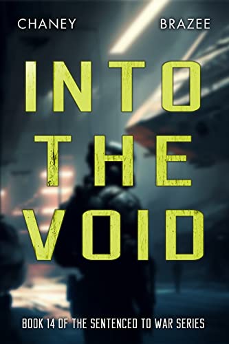 Into the Void book cover