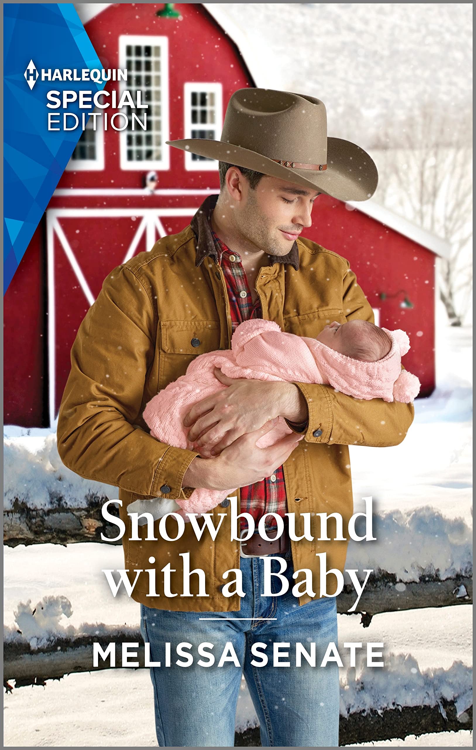 Snowbound with a Baby book cover